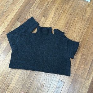 Zara turtleneck cropped sweater